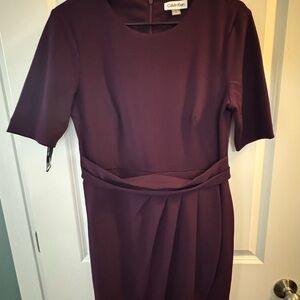 Calvin Klein Women's Purple Dress